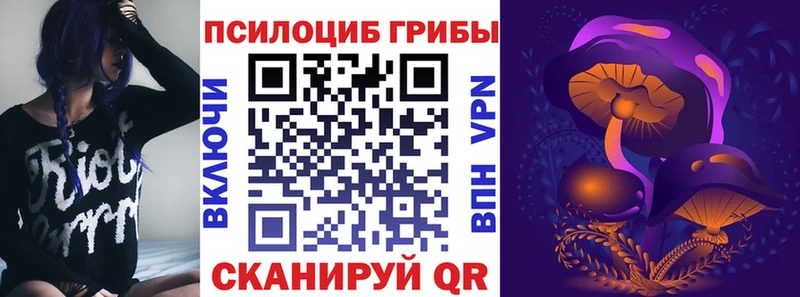 Псилоцибиновые грибы Magic Shrooms  Новокузнецк 