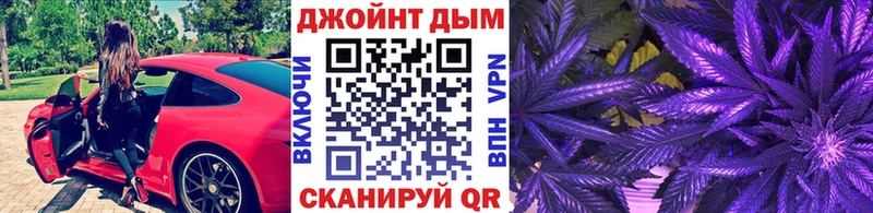 хочу наркоту  Новокузнецк  Конопля сатива 